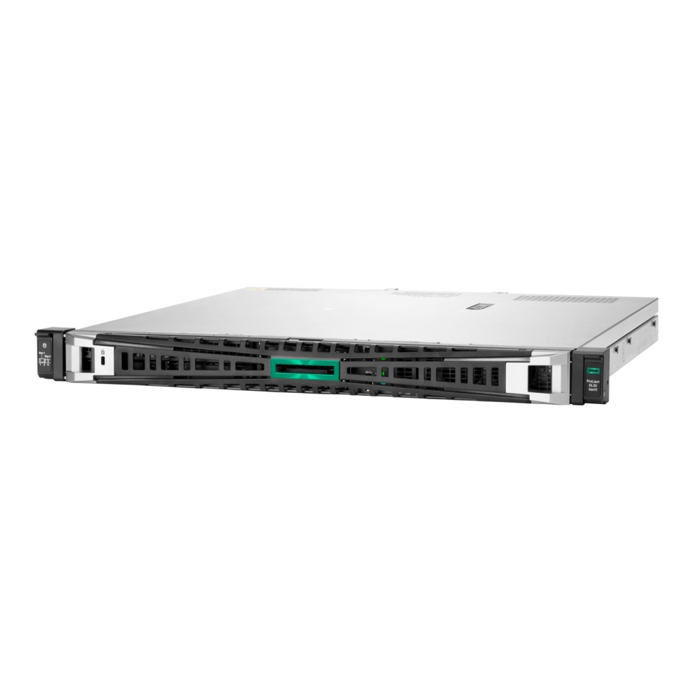 Hewlett Packard Enterprise (HPE) ProLiant DL20 Gen11 Rack Sunucu