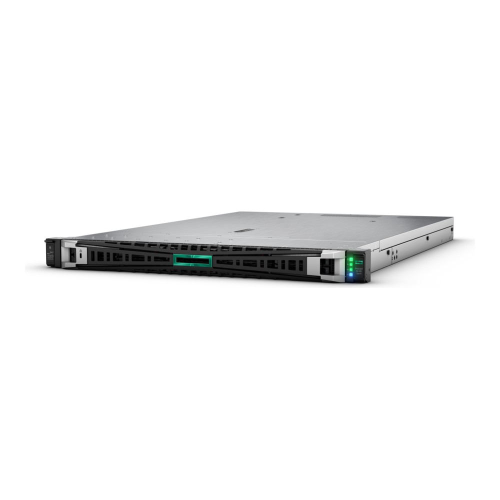 Hewlett Packard Enterprise (HPE) ProLiant DL325 Gen11 Rack Sunucu