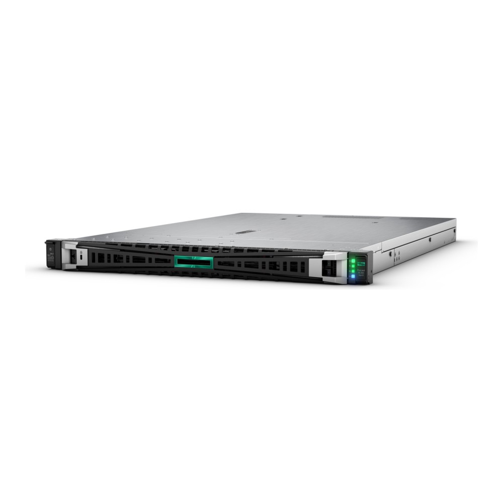 Hewlett Packard Enterprise (HPE) ProLiant DL365 Gen11 Rack Sunucu
